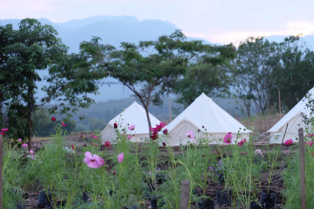 Camp Story Chiangmai Hotel Chiang Mai Luaran gambar