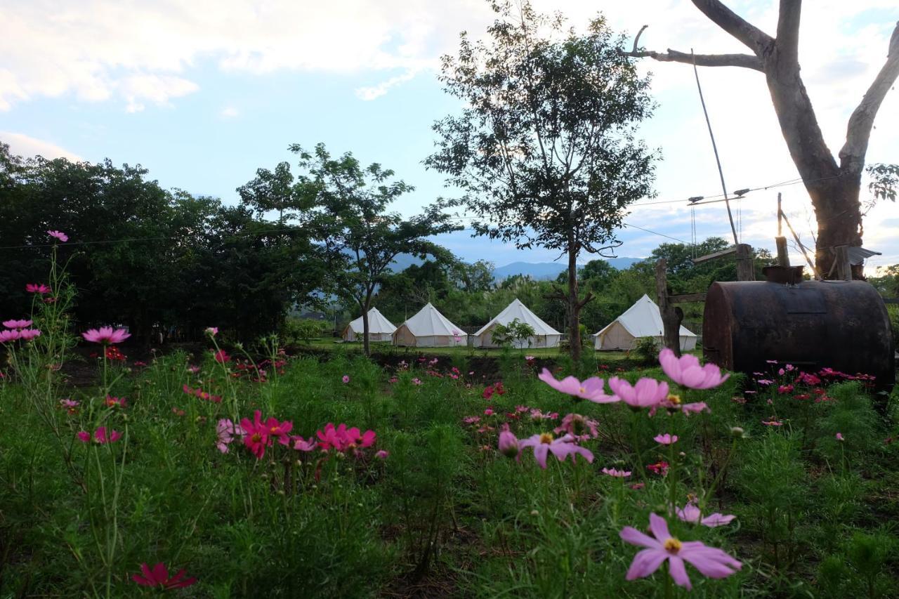 Camp Story Chiangmai Hotel Chiang Mai Luaran gambar